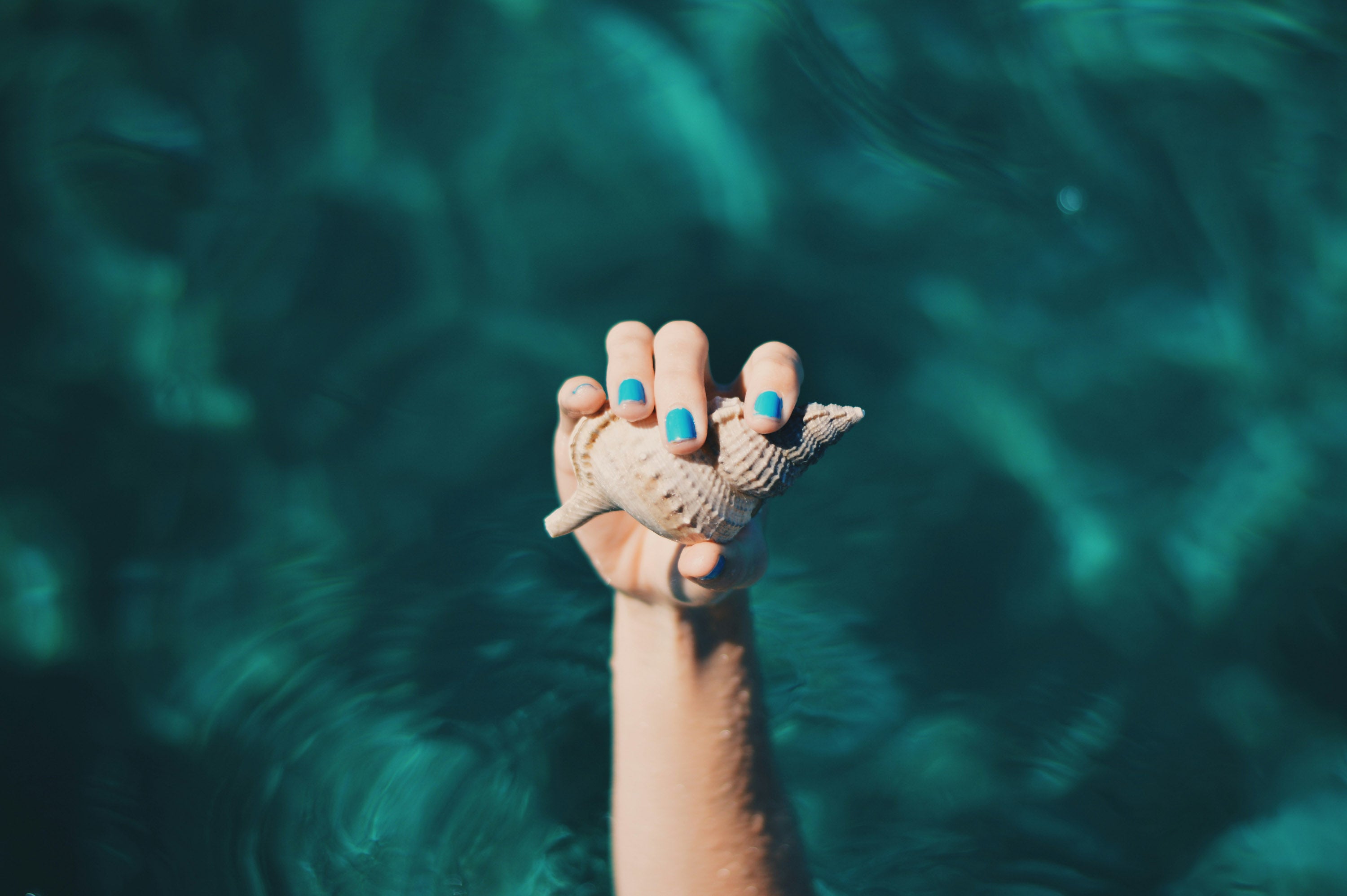 Hand holding a seashell, symbolizing Mālie the label's support for various organizations, including the National Kidney Foundation