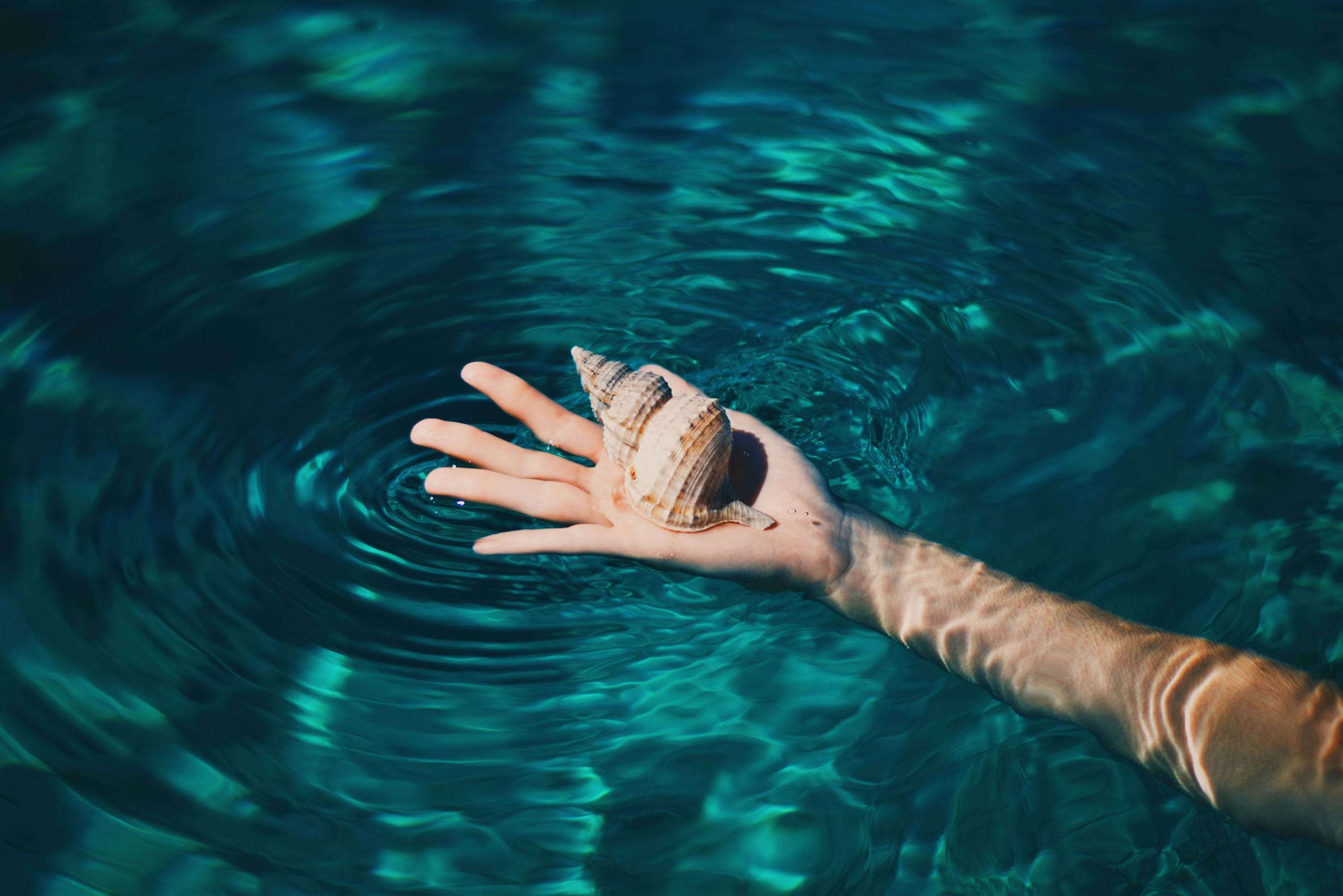 Hand holding a seashell over water, symbolizing Mālie the Label's dedication to eco-conscious and sustainable practices