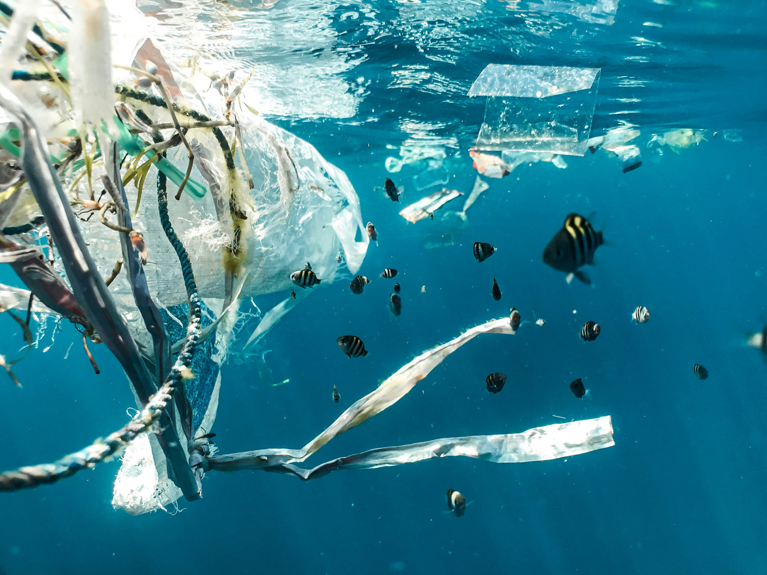 Plastic waste polluting the ocean, highlighting Mālie the label's commitment to donating proceeds to non-profits for ocean protection