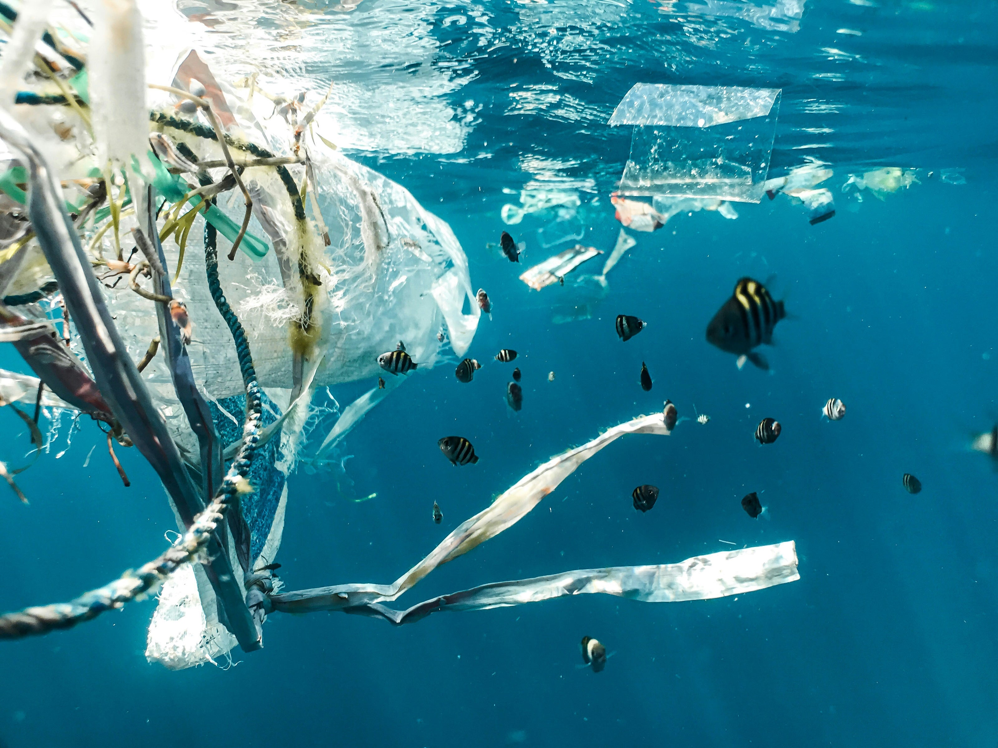 Plastic waste polluting the ocean, highlighting Mālie the label's commitment to donating proceeds to non-profits for ocean protection